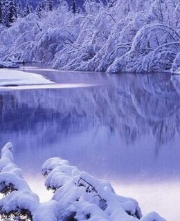 Руслан Русланов