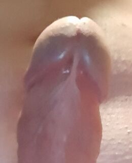 Agent — фото 2