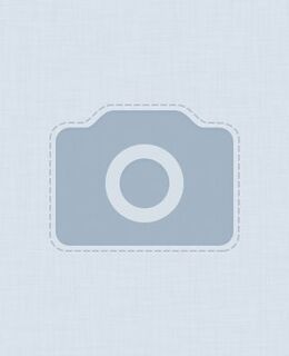 Владимир Салапаев