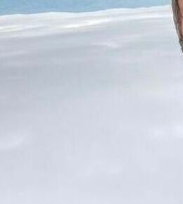 Балу — фото 1