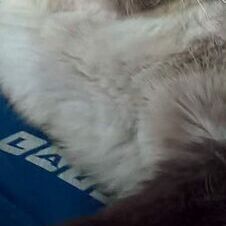 Андрей — фото 1